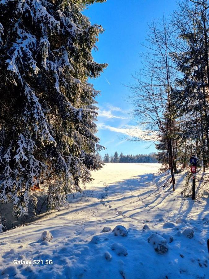 Ferienhaeuser Olbernhau Erzgebirge Exteriér fotografie