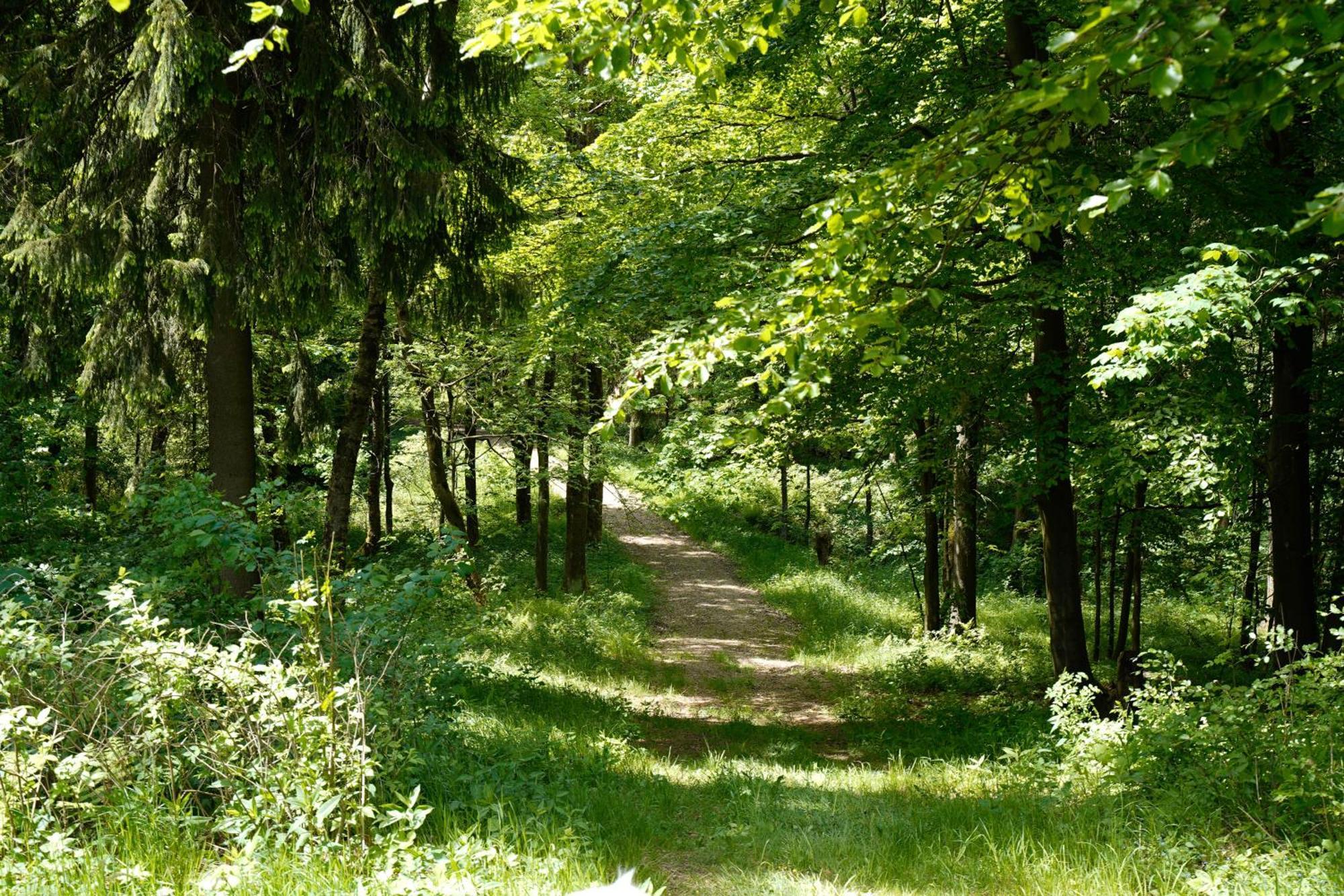 Ferienhaeuser Olbernhau Erzgebirge Exteriér fotografie